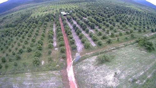 មួយកន្លែងចង់លក់ទំហំ 46ហិចតា