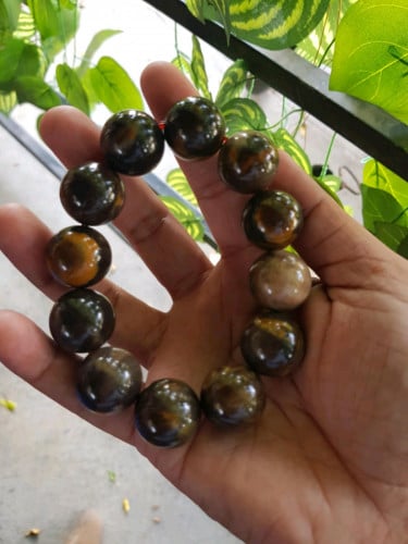 ផូស៊ីលឈើខ្នាត 20 លី