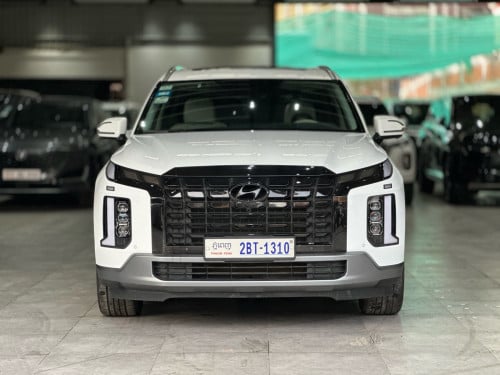 PALISADE 2023 (9940km)