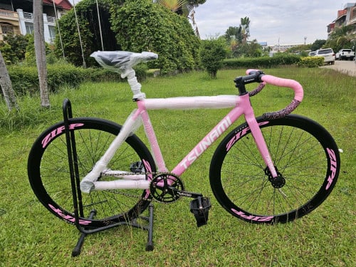 TSUNAMISNM-100តួអាលុយសុីន