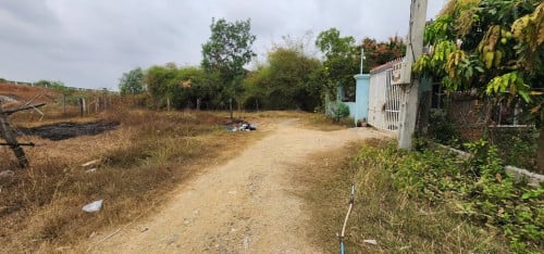 ដីលក់ 10X20 meters (Land for sale)