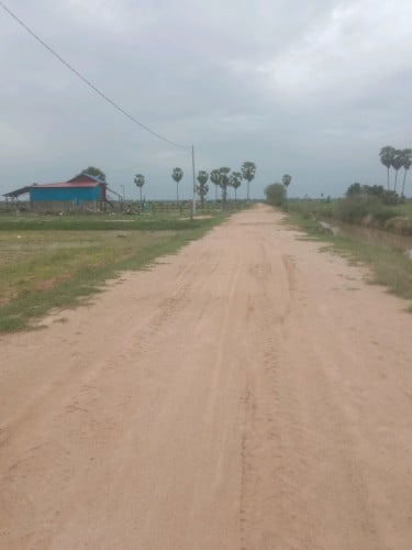 ដីលក់ បន្ទាន់(ប្លង់រឹង) Free សេវាកាត់ប្លង់រឹងជួន