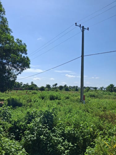 ដីលក់បន្ទាន់ ជាប់ផ្លូវរដ្ឋ ៣០ម៉ែត្រ