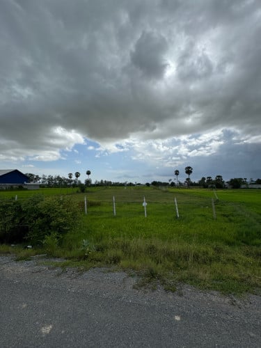 ដីលក់នៅផ្លូវចូលវត្តយសមេត្រីចុះពីផ្លូវជាតិលេខ៤តែ២គីឡូត