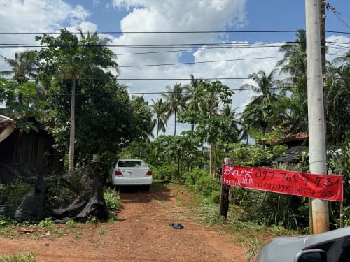 ប្រញាប់លុយ 18,000$ ដីធំ 10*100m (ចរចាបានតាមតម្រូវការអាចពុះក៏បាន)