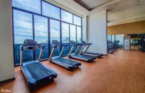 The Skyline Condo For Rent (One Bedroom)