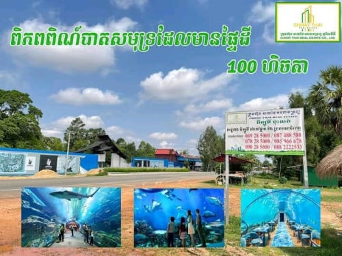 ដីលក់ទល់មុខពិភពបាតសមុទ្រ