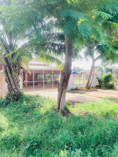 លក់ដីនឹងផ្ទះ