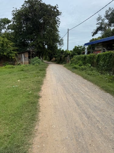 ដី4500mពីលោតាដំបងក្រញូង12*32