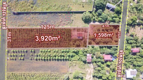 ដីលក់ នៅក្រុងអរិយក្សត្រ