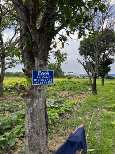 ដីចំការលក់បន្ទាន់(ក្រោមទីផ្សារ៣០%)