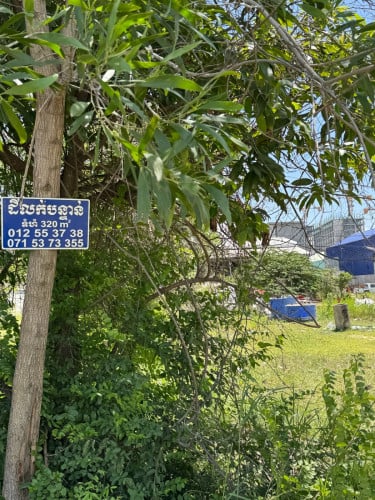 ដីលក់បន្ទាន់(ក្រោមទីផ្សារ៣០%)