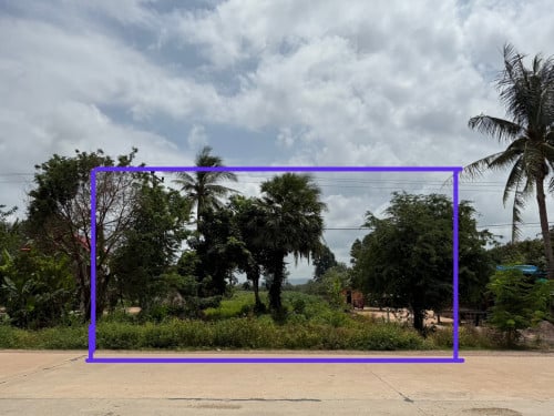 លក់ ដីសៀមរាប ពាក់ស្នែង ប្រញាប់លុយ