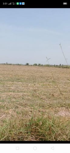 ទំហំដីជិត៤០ហិកតា នៅឃុំរលាប.ដីនៅមួយដុំតែមានប្លង់ច្រើន។ ១​ហិកតា 6500 USDប្លង់រឹងទាំងអស់