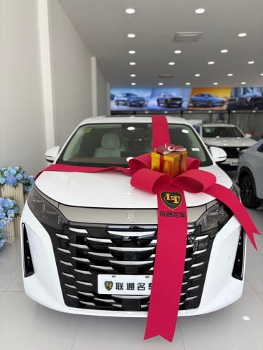 BYD XIA DM-i 2025 Full option