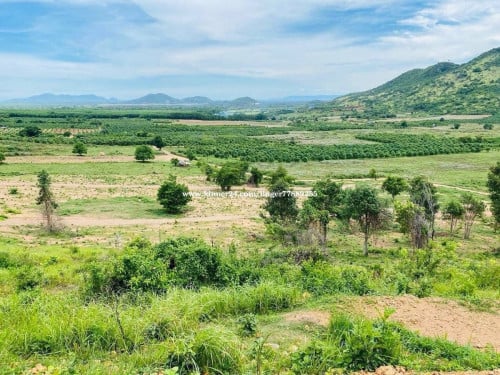 ដីលក់នៅកំពត