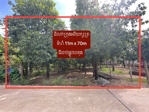 ដីលក់អរិយក្សត្រ ទំហំ 11m x 70m