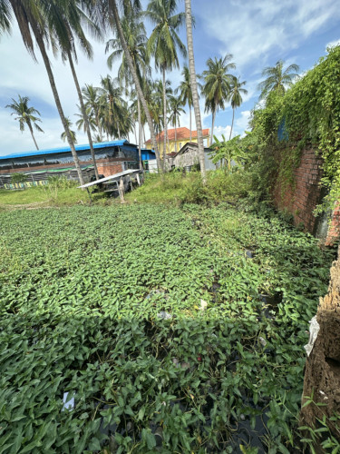 🏦Land Available for Urgent Sale at a Special Price (Negotiable).