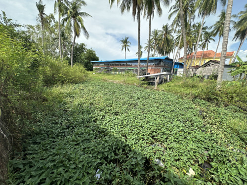 🏦Land Available for Urgent Sale at a Special Price (Negotiable).