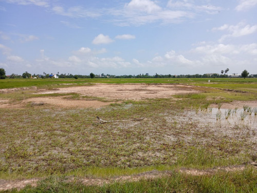 ๐ฆLand Available for Urgent Sale at a Special Price (Negotiable).