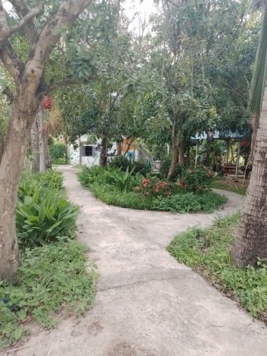 40 Meters of Bassac Riverfront - 1000 square meters - Build Condos or move in