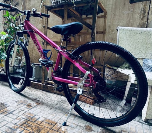 Adult bicycle (Female only)