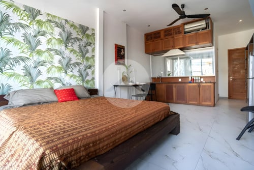 Renovated Apartment Plus Rooftop For Sale- Chey Chumneah, Daun Penh
