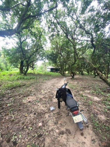 ដីមួយហាត់12មុឺន$ចរចារ