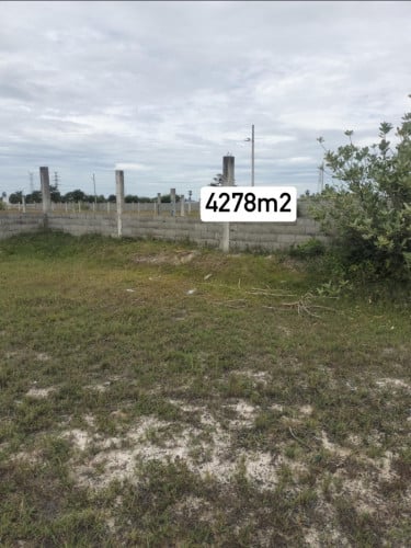 ដីលក់នៅភ្នំប្រសិតផ្លូវ42 លក់បន្ទាន់ (ចរចារបាន)