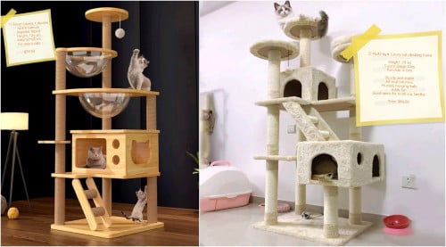 Cat Climbing Tree Box Frame