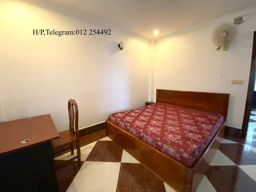 Nice Fully Furnished Elevator Apartment for Rent