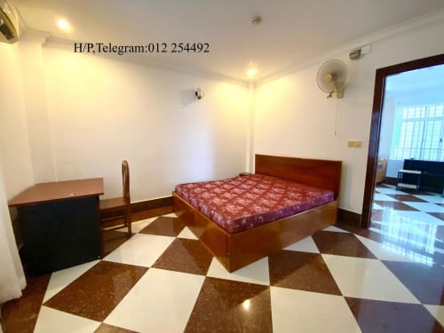 Nice Fully Furnished Elevator Apartment for Rent