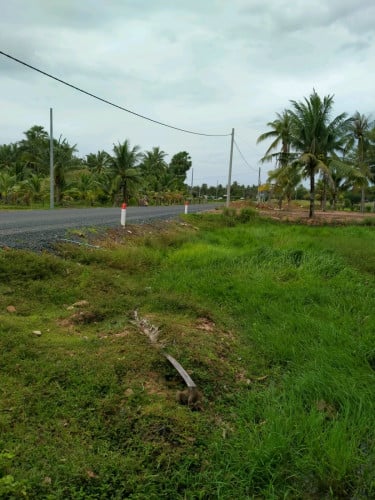 ដីសម្រាប់លក់ ជាប់ផ្លូវជាតិ 3 ចុះពីផ្លូវជាតិលេខ 3 500 ម៉ែត