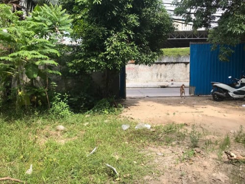 ដីចំការលក់បន្ទាន់ ៖ ជិតផ្លូវ 598 &ផ្លូវម៉ុងឬទ្ធី, សង្កាត់ភ្នំពេញថ្មី, ខណ្ឌសែនសុខ, ភ្នំពេញ