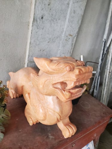 កូននាគក្រហម