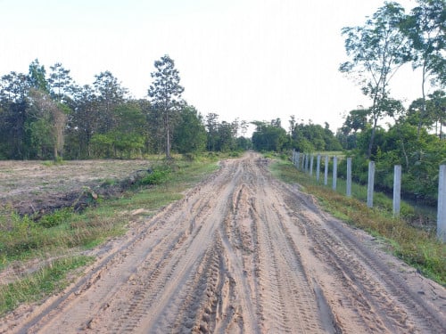 មានលក់ដីចំការតម្លៃសមរម្យ​ អាចចរចារបាន