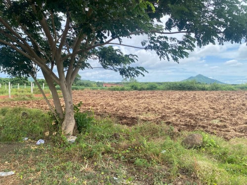 ដីមានទីតាំងល្អ អាចសាងសងផ្ទះលំហែ ចុះពីផ្លូវវាងក្រុងបៃលិន ២០០m
