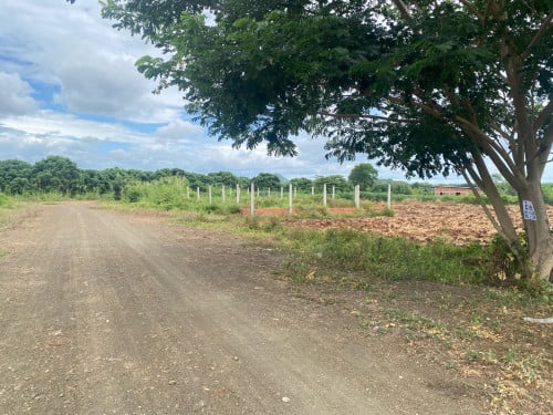ដីមានទីតាំងល្អ អាចសាងសងផ្ទះលំហែ ចុះពីផ្លូវវាងក្រុងបៃលិន ២០០m