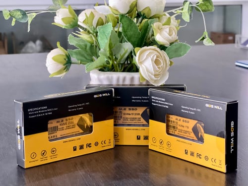 GIDS WILL SSD M.2 512GB