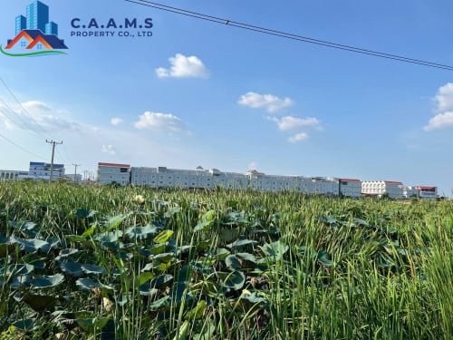 Land for Sale or Rent