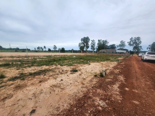 លក់ដីបង់រំលួសនៅជិតក្រុសសៀមរាប ជាមួយម្ចាស់ផ្ទាល់