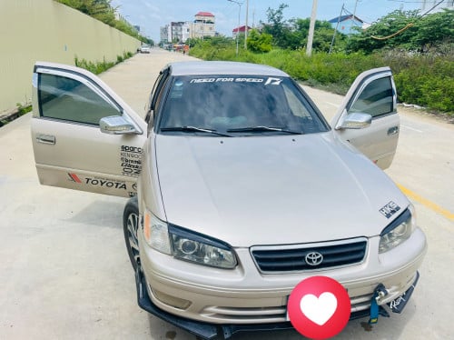 ទ្បានលក់ដូរសារី