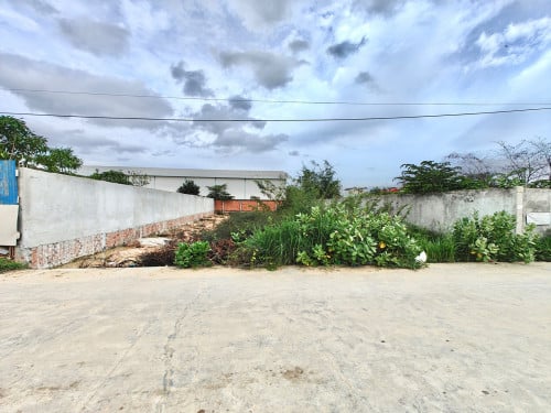 ដីលក់ 15x40 នៅក្បែរផ្លូវសន្តិភាព