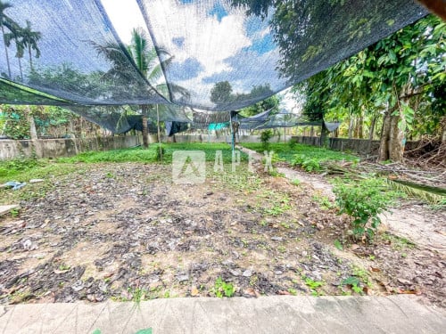 ដីផ្ទះសម្រាប់លក់/Land for rent