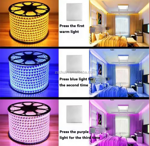 ភ្នែក២ជួរ LED 1 ដុំ១០០ម