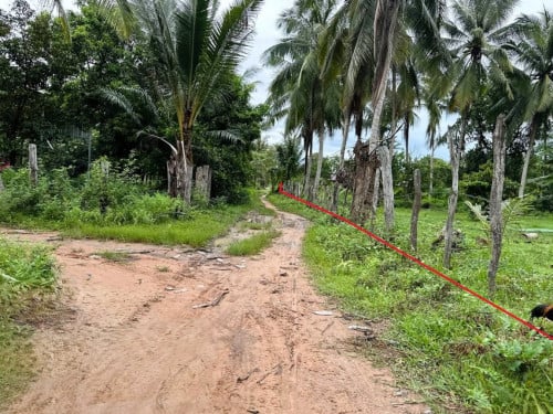 🏠 អចលនទ្រព្យ លក់ឡាយឡុង (Auctioned Properties) 🏷