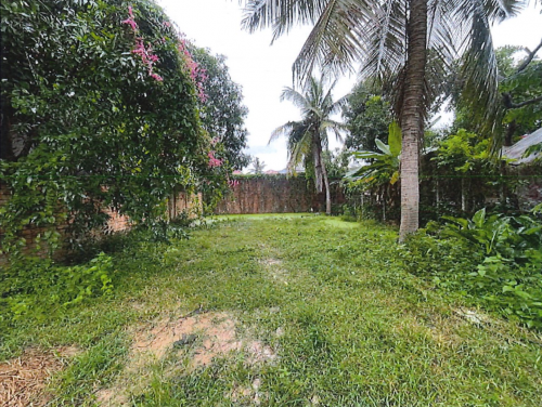 🏠 អចលនទ្រព្យ លក់ឡាយឡុង (Auctioned Properties) 🏷
