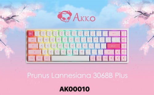 Keyboard AKKO