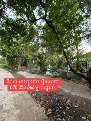 ដីលក់បន្ទាន់ កោះប្រាក់ កៀនស្វាយ