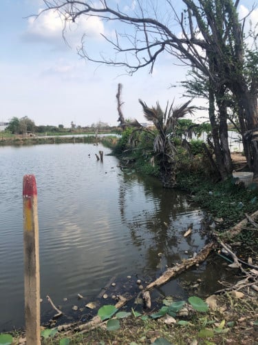 ដីសម្រាប់លក់